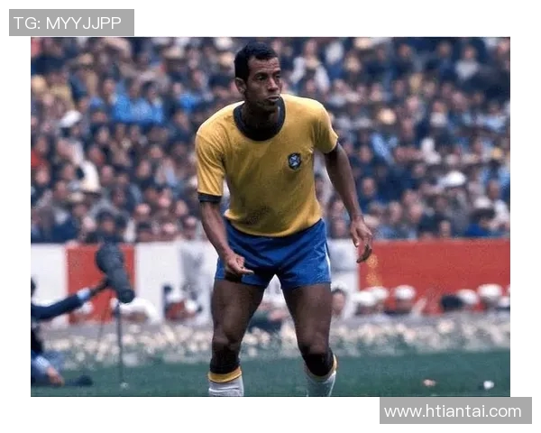 巴西足球传奇人物回顾各年代明星球员的辉煌与影响